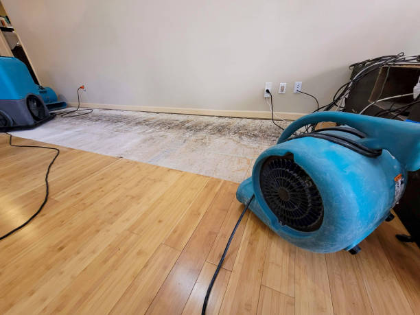 Professional Burst Pipe Water Damage technician working in Centerville, IN
